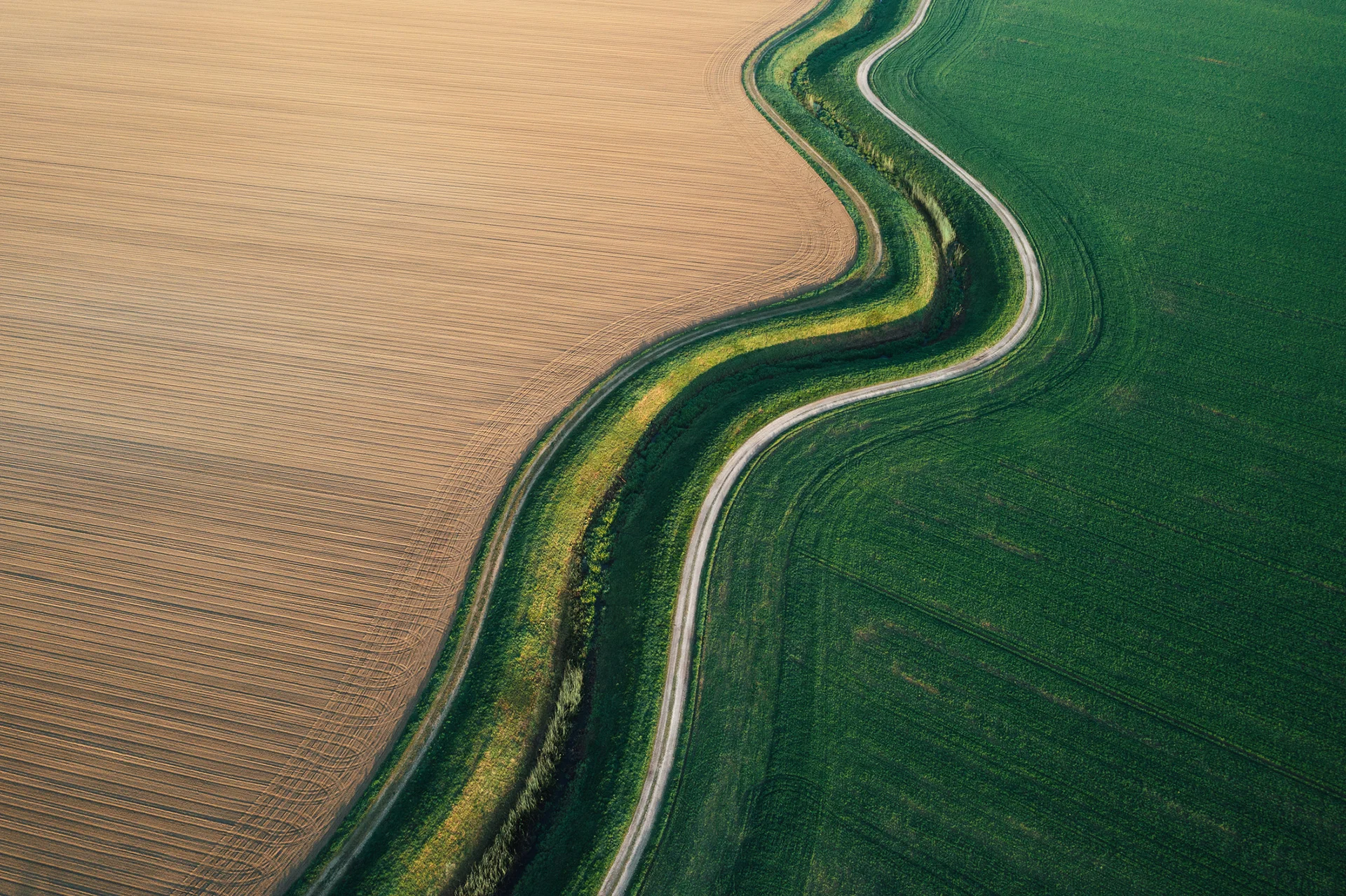 Aerial view of fields divided by a wavy path, contrasting brown and green landscapes.