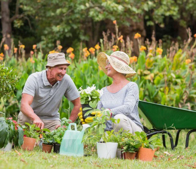 Elderly couple gardening, smiling amid potted plants and flowers outdoors.