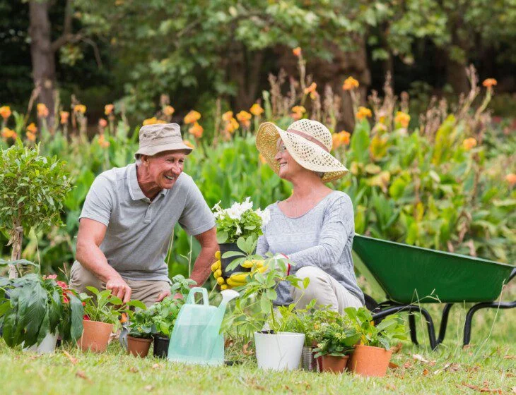 Elderly couple gardening, smiling amid potted plants and flowers outdoors.