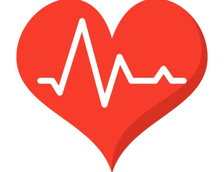Red heart with a white ECG line across it.