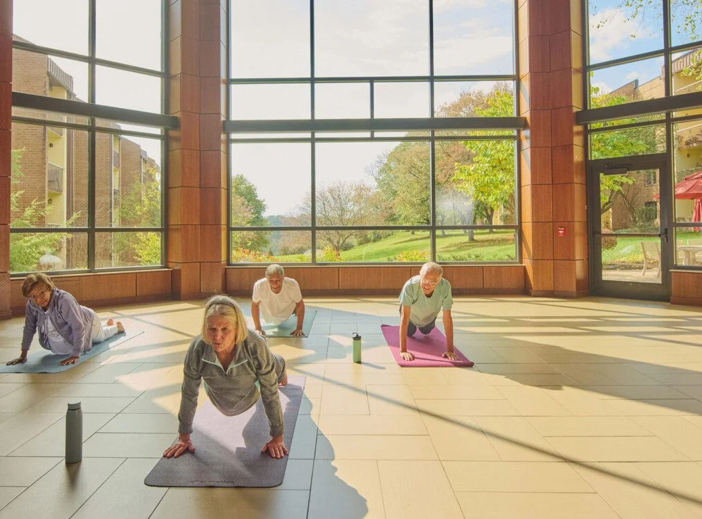 People doing yoga in a sunlit room with large windows and a garden view.