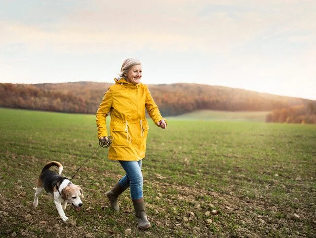 Woman in yellow coat walking a dog in a field during autumn.
