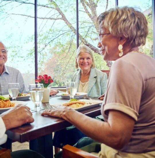 Three seniors dining together, smiling in a sunlit room with large windows.