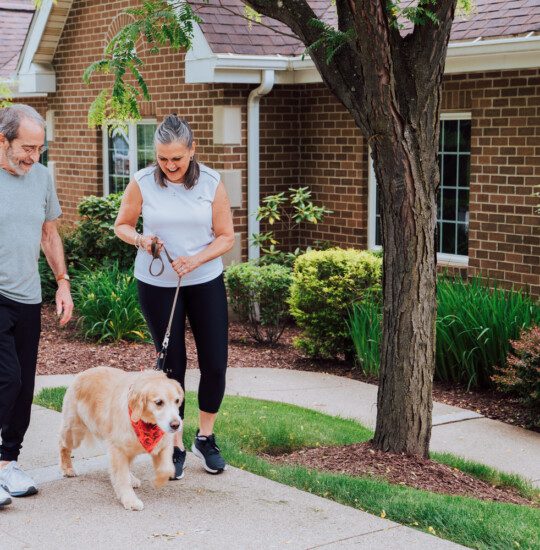 FVSH_DogWalking_202506_02 (1)